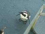 Image 937
